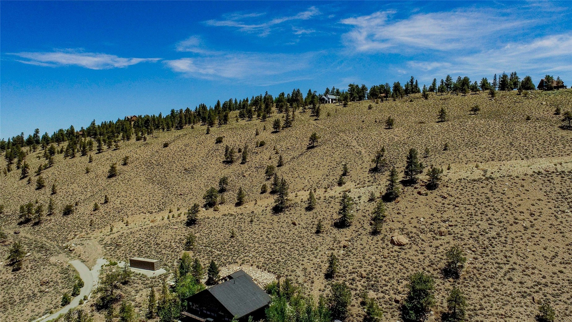 6278 County Road 10 Leadville CO 81251