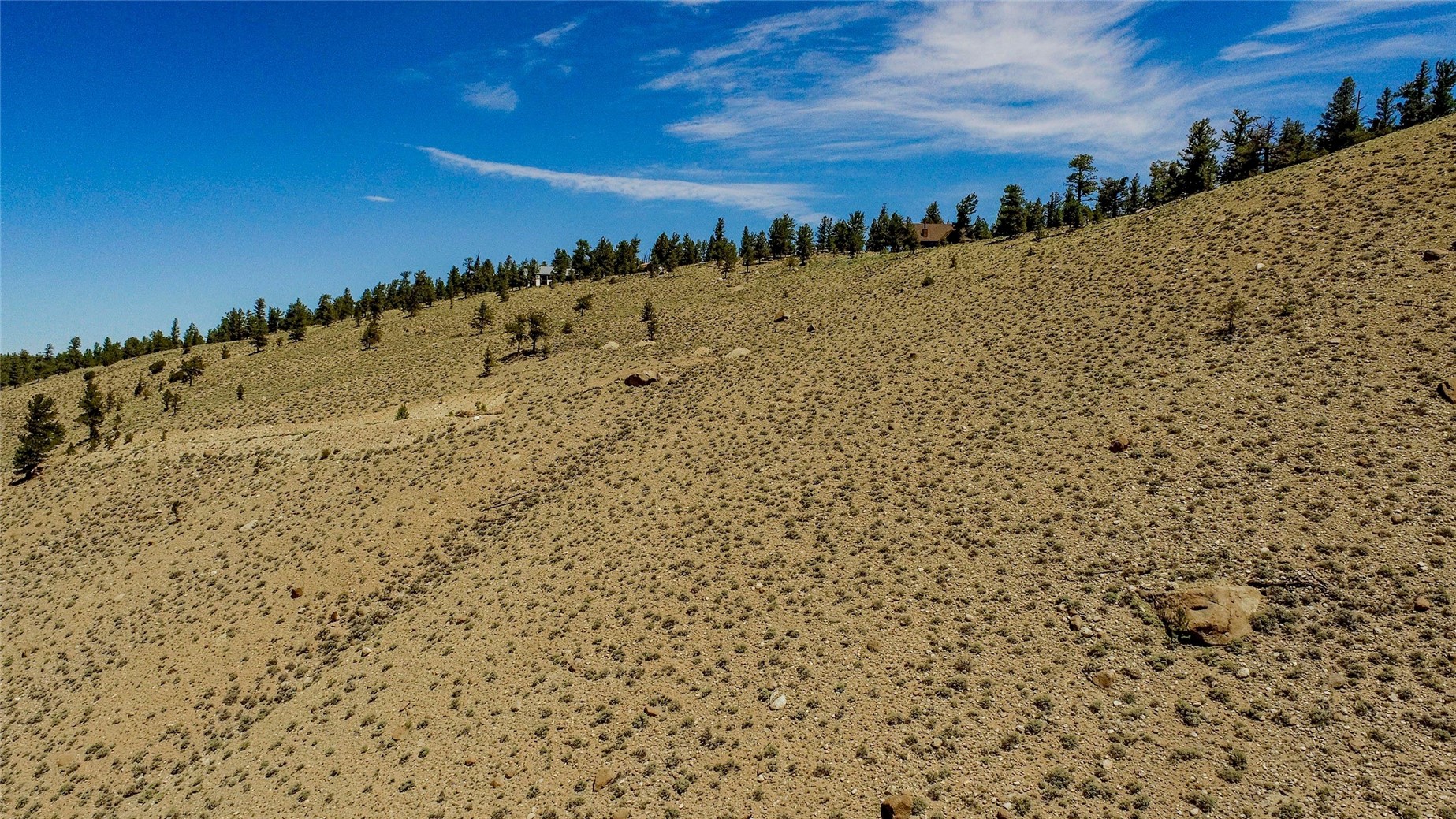 6278 County Road 10 Leadville CO 81251