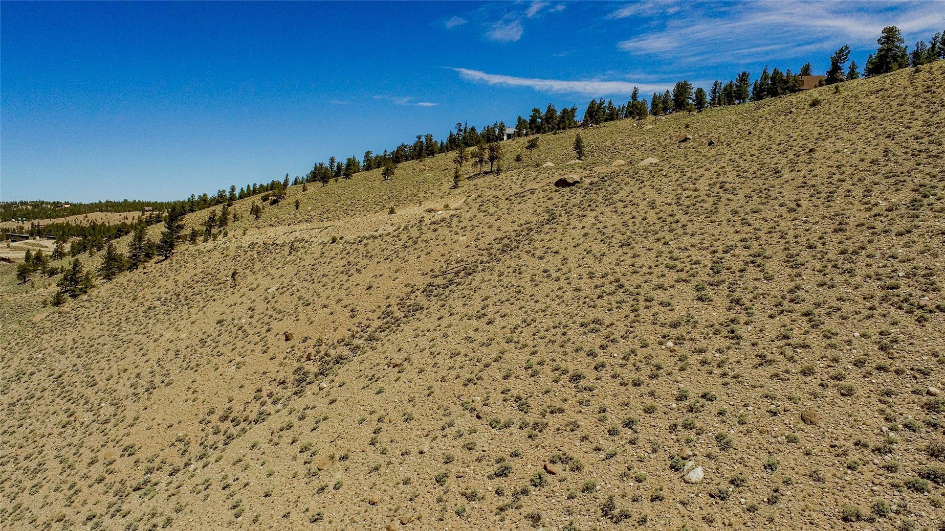 6278 County Road 10 Leadville CO 81251