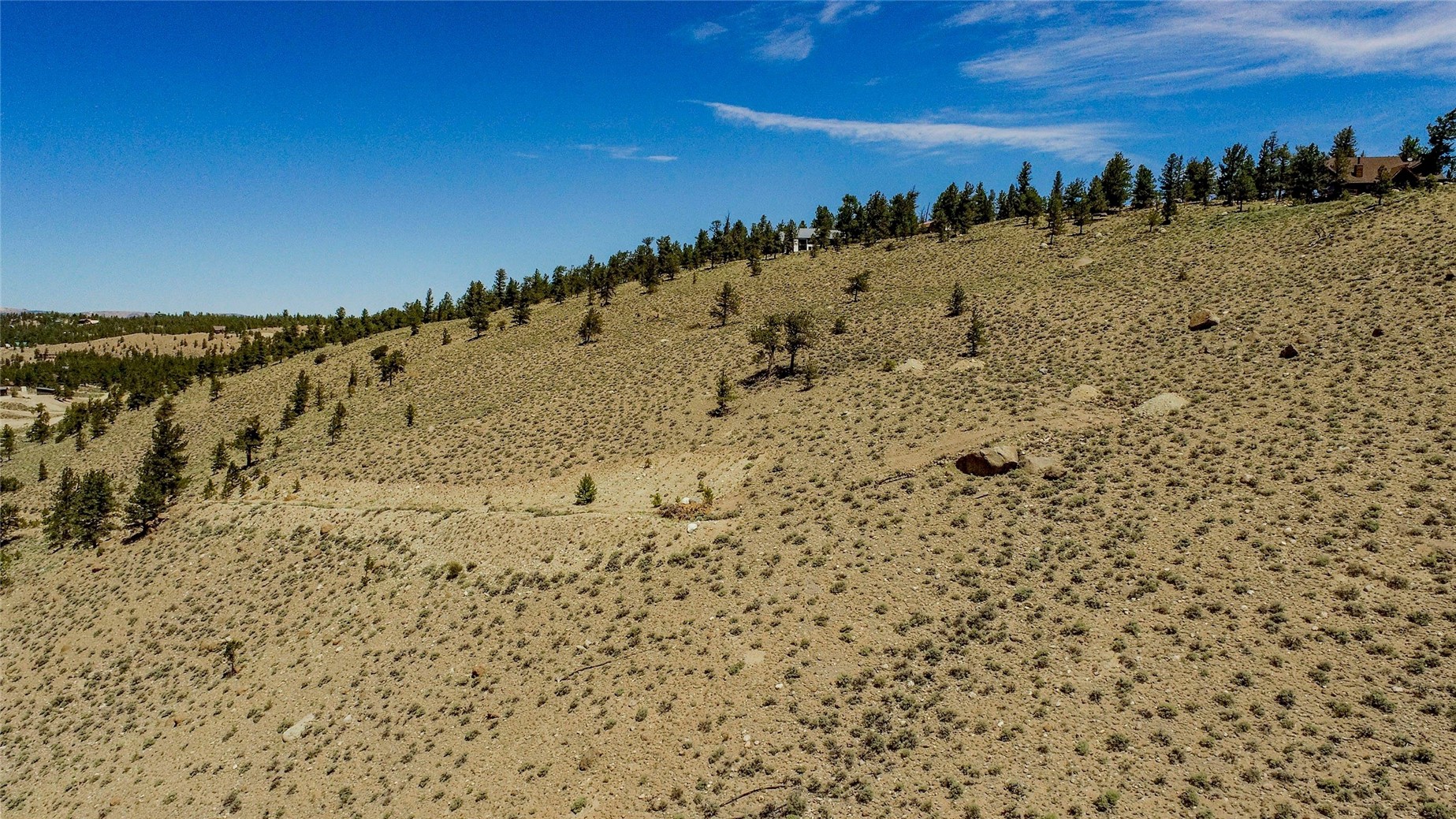 6278 County Road 10 Leadville CO 81251