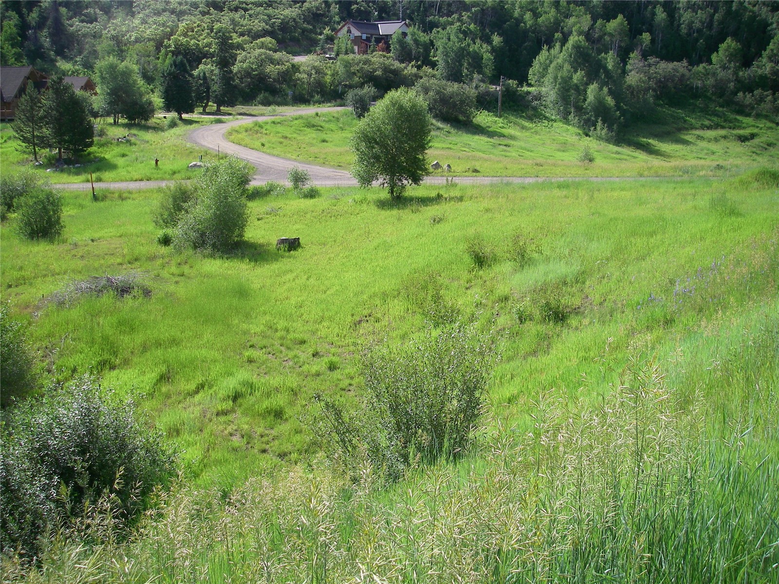 33635 Sky Valley Drive Steamboat Springs CO 80487