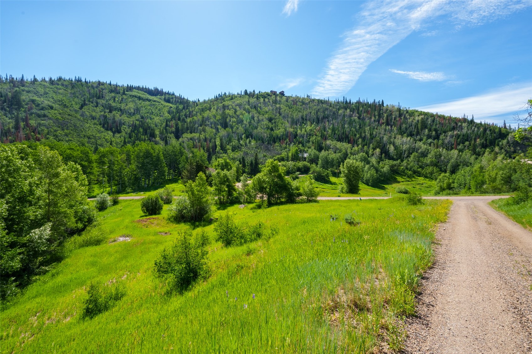 33635 Sky Valley Drive Steamboat Springs CO 80487