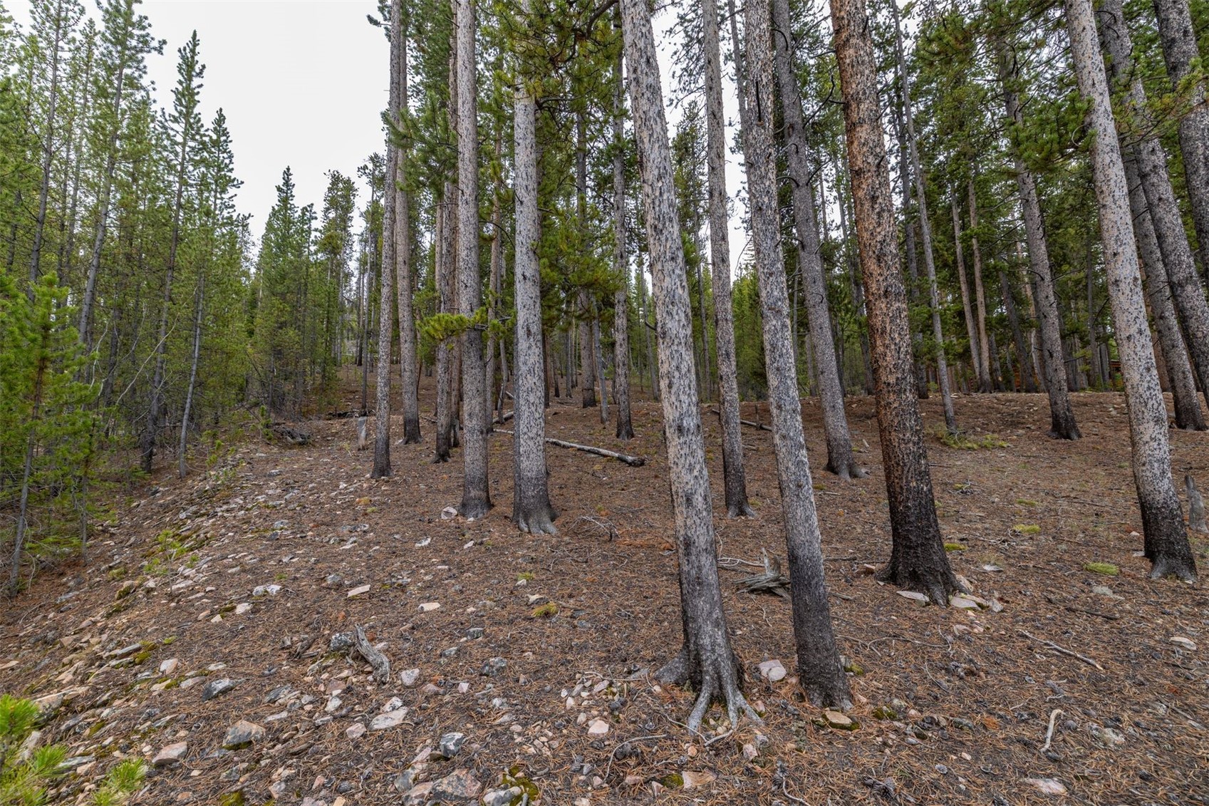 486 Moonstone Road Breckenridge CO 80424