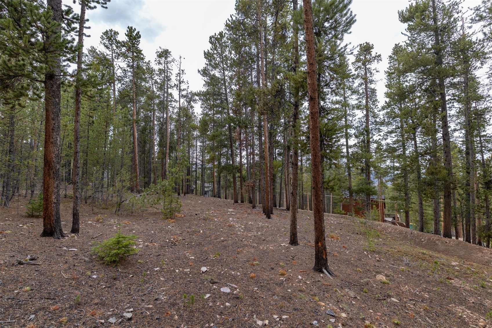 486 Moonstone Road Breckenridge CO 80424