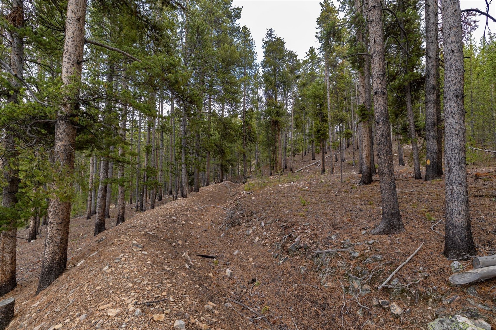 486 Moonstone Road Breckenridge CO 80424