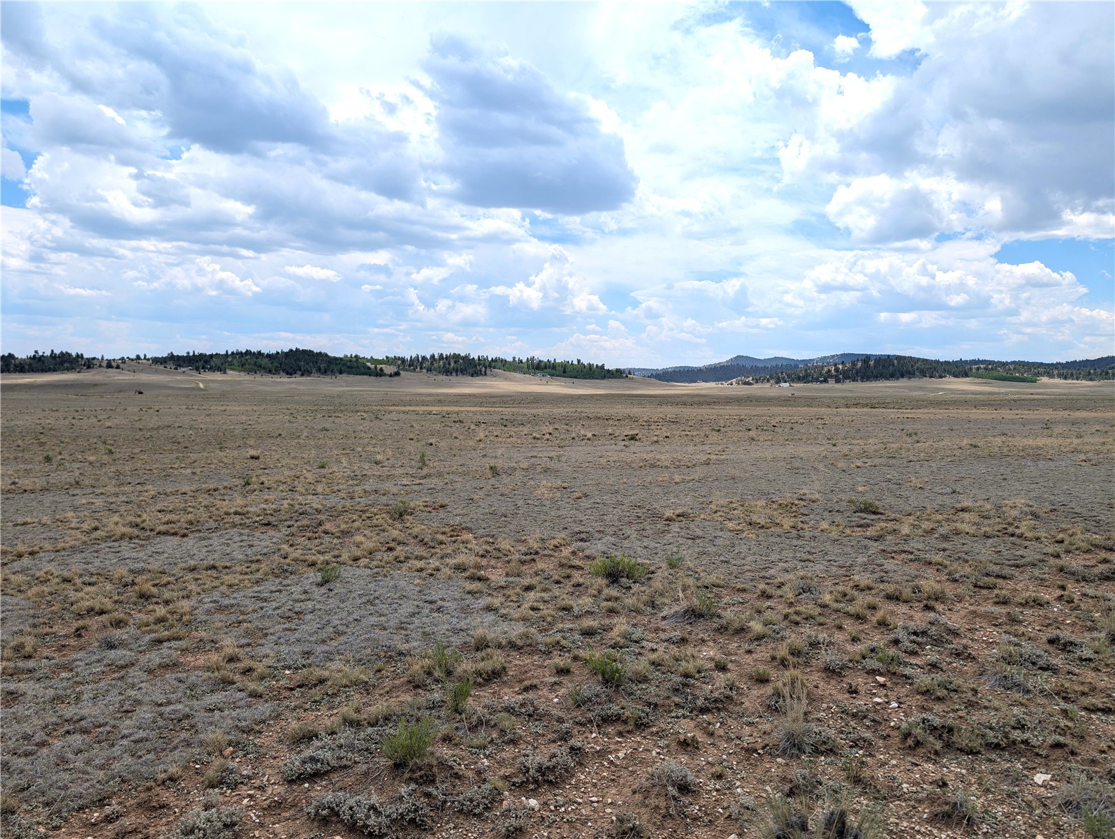 956 Apache Trail Hartsel CO 80449