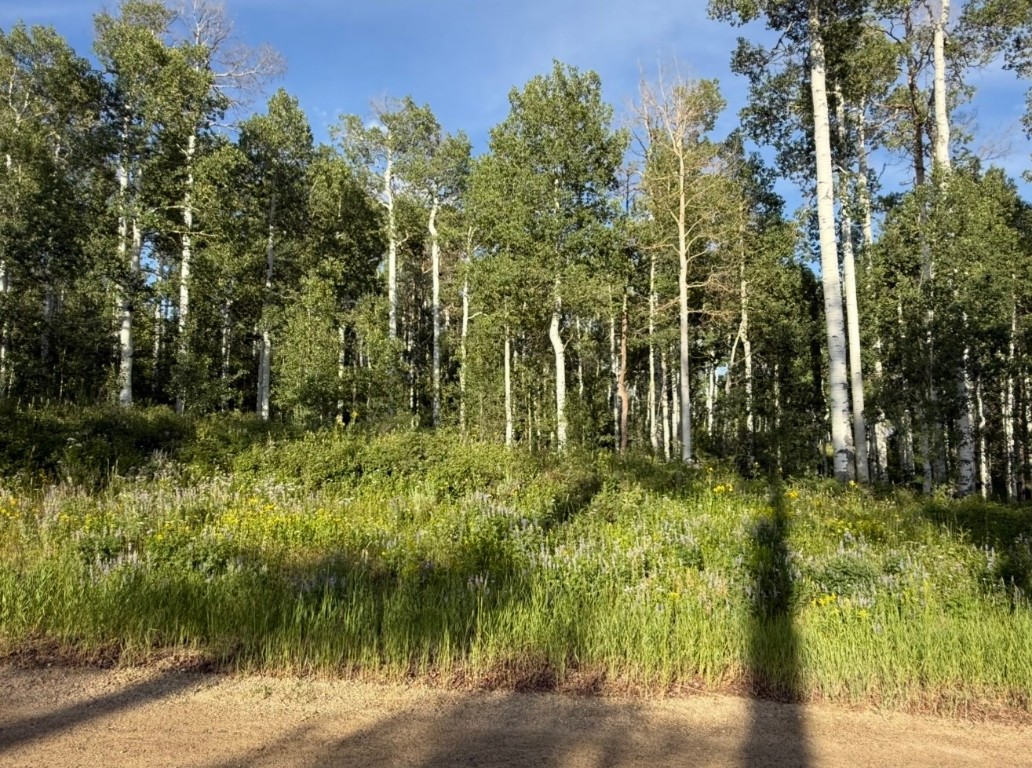 26320 Beaver Canyon Drive Clark CO 80428