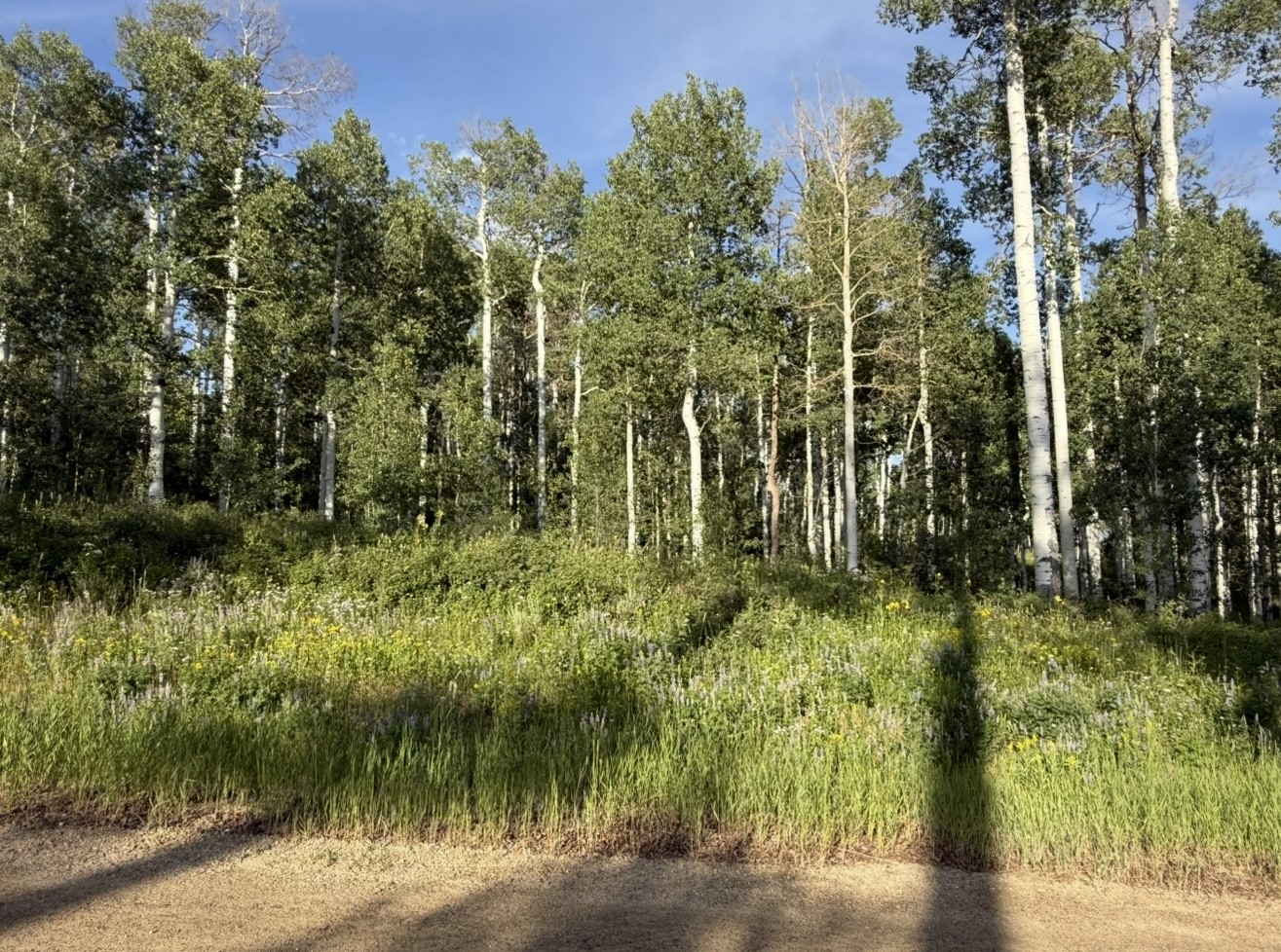 26320 Beaver Canyon Drive Clark CO 80428