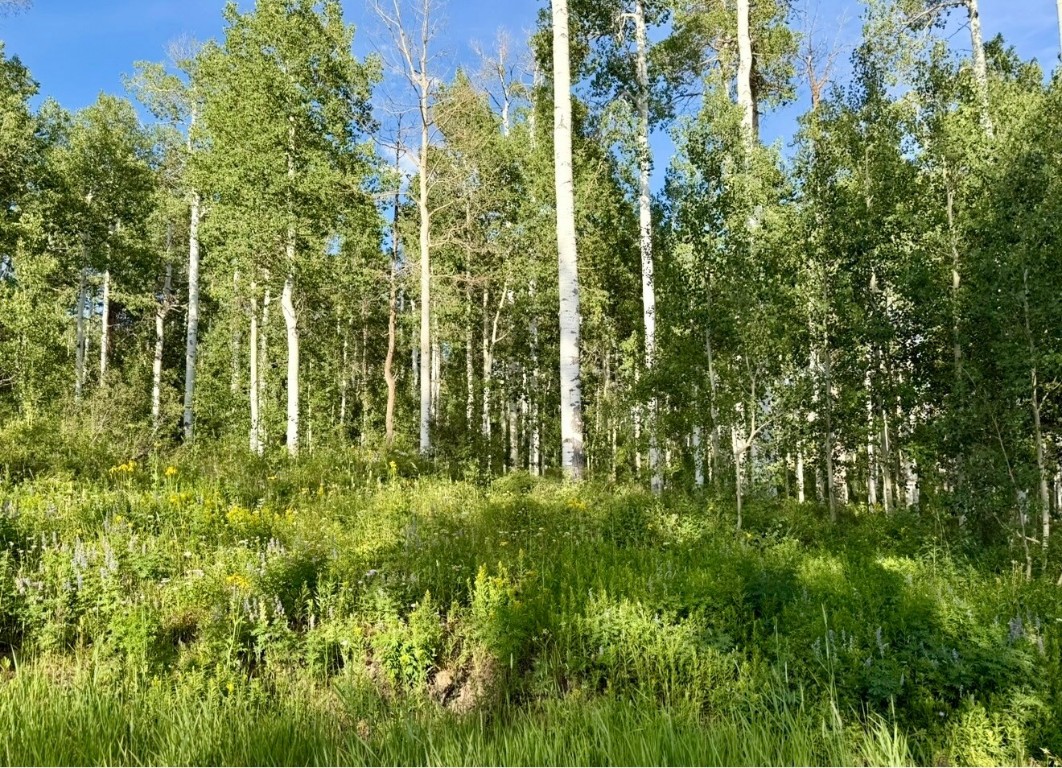 26320 Beaver Canyon Drive Clark CO 80428