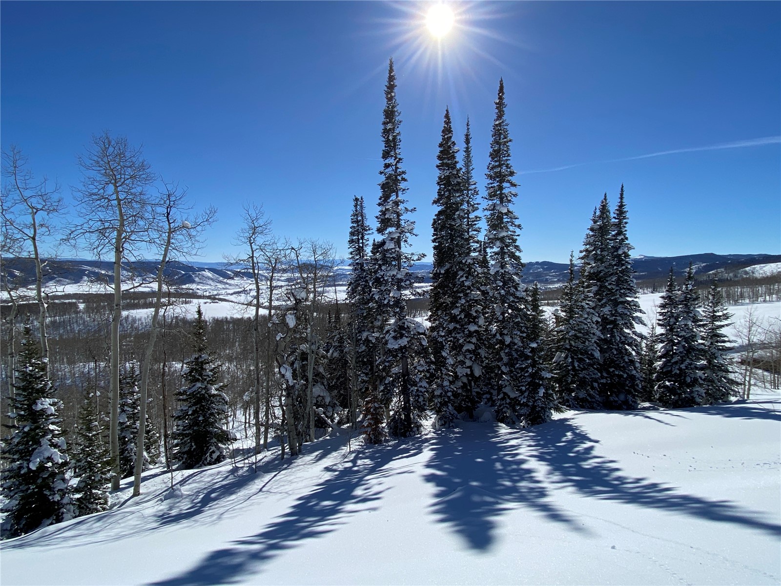 26320 Beaver Canyon Drive Clark CO 80428