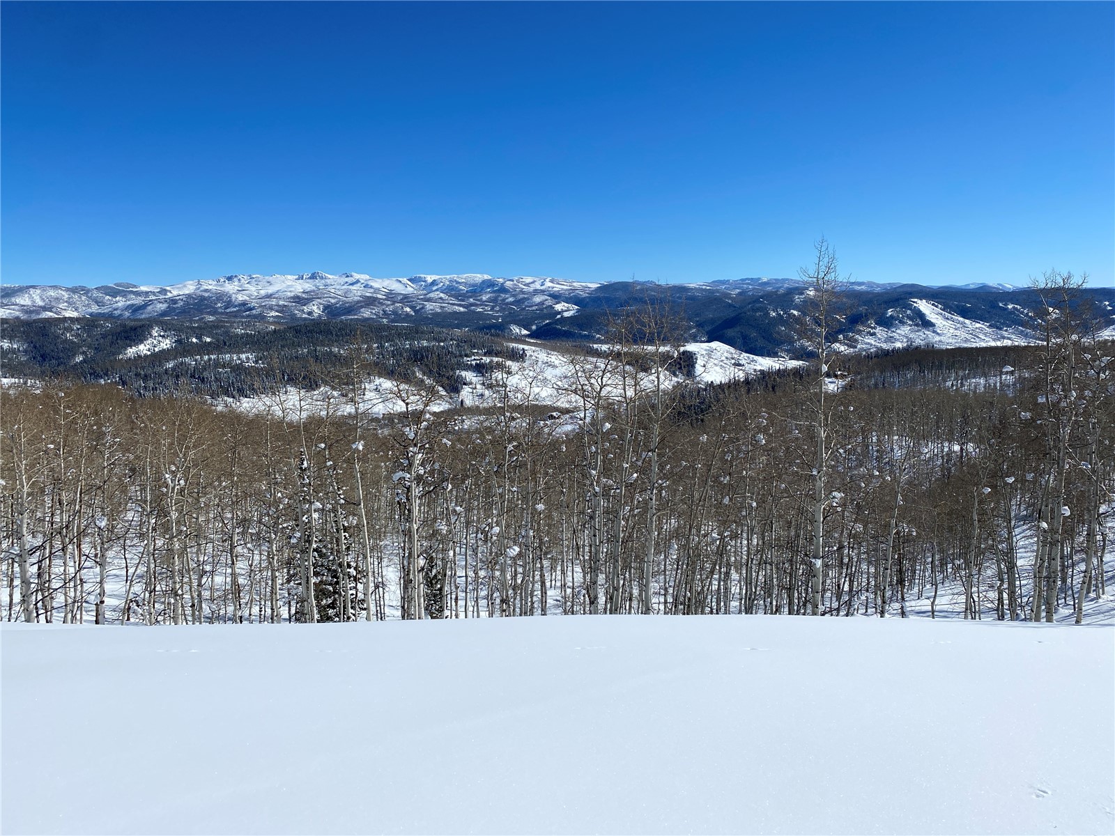 26320 Beaver Canyon Drive Clark CO 80428
