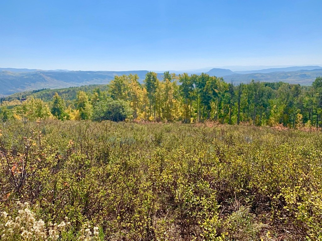26320 Beaver Canyon Drive Clark CO 80428