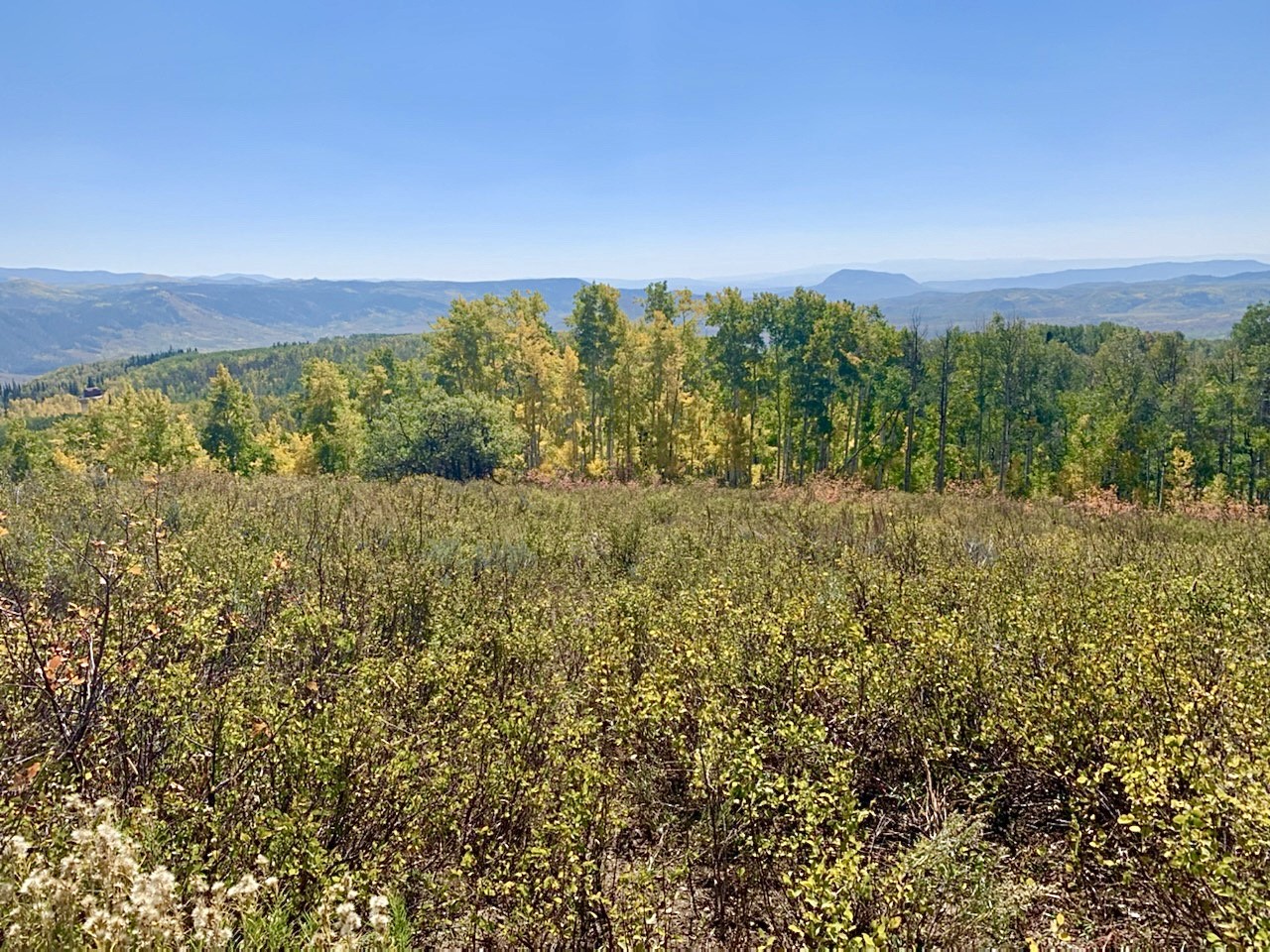26320 Beaver Canyon Drive Clark CO 80428