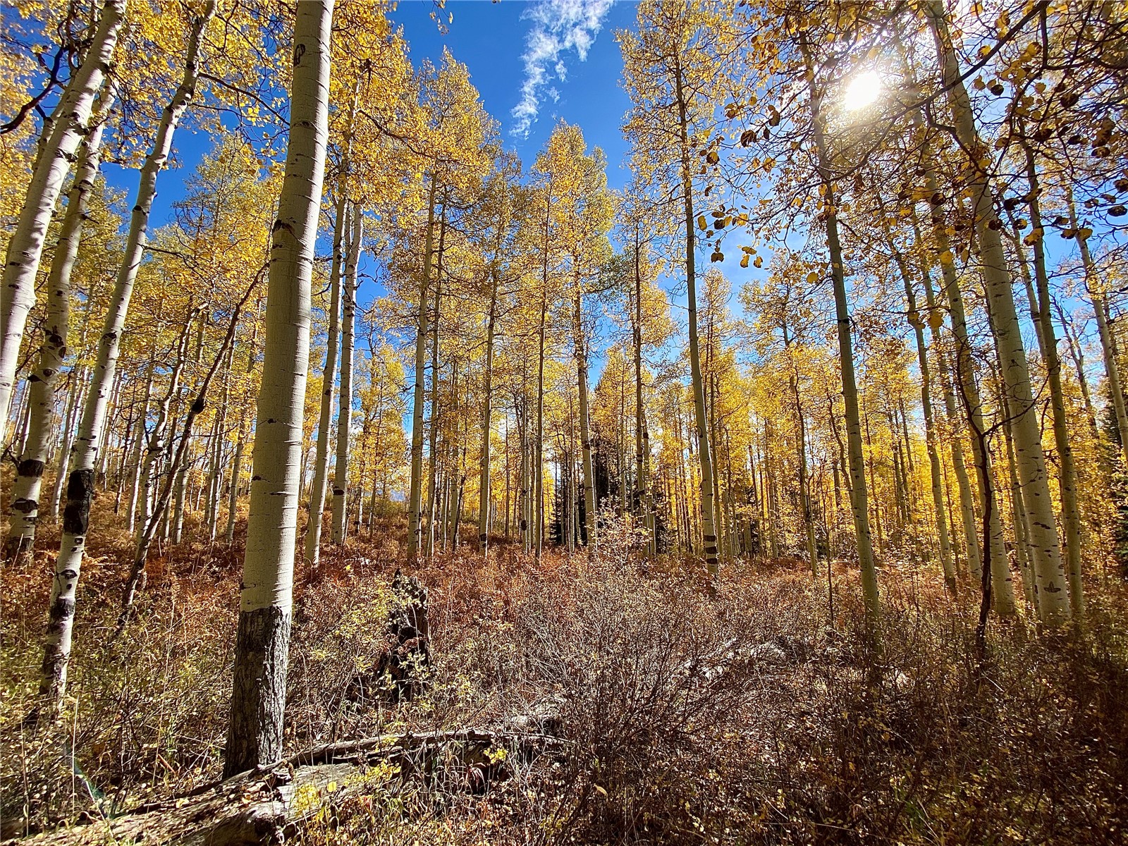 26320 Beaver Canyon Drive Clark CO 80428