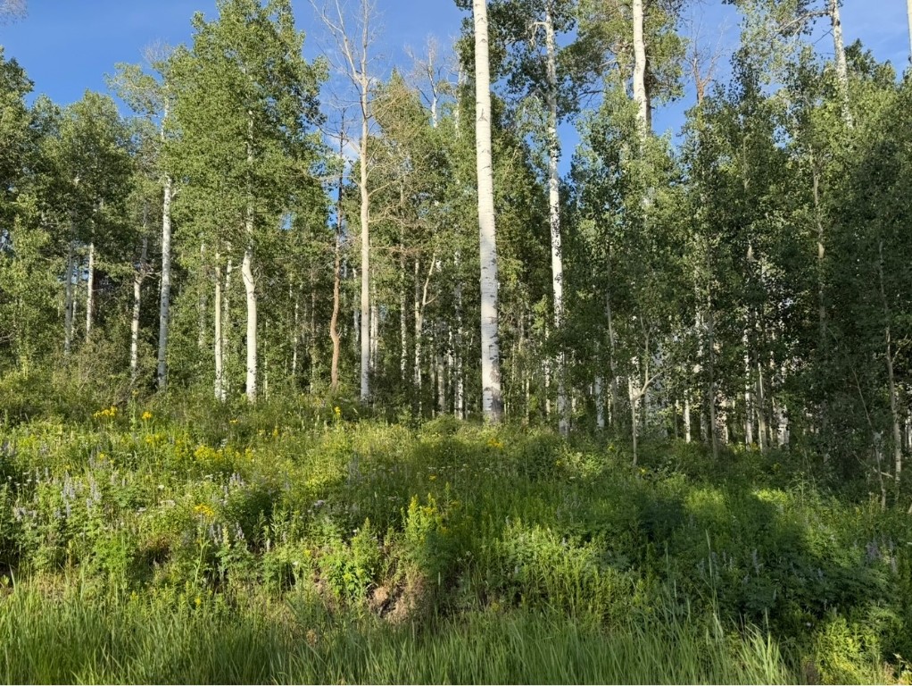 26320 Beaver Canyon Drive Clark CO 80428