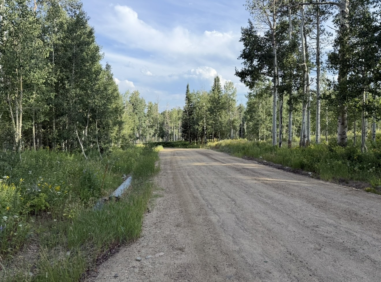 26320 Beaver Canyon Drive Clark CO 80428