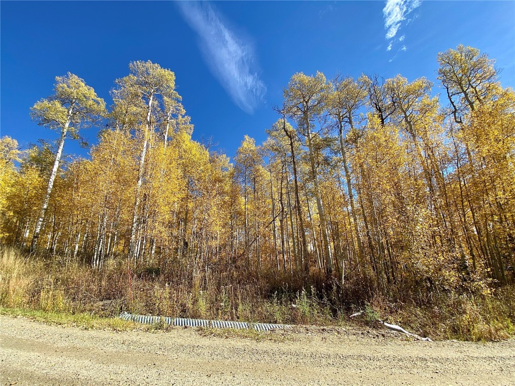 26320 Beaver Canyon Drive Clark CO 80428