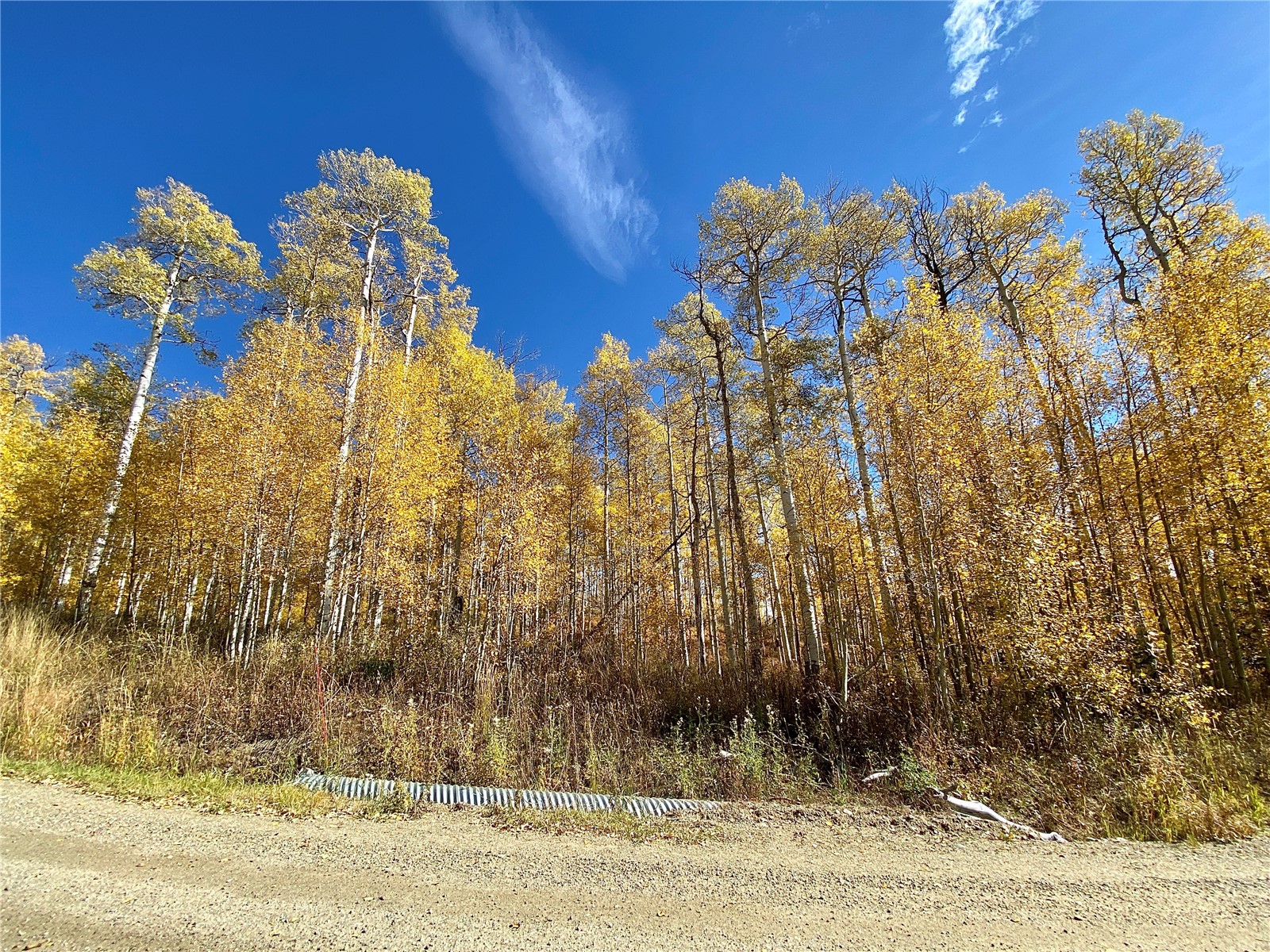 26320 Beaver Canyon Drive Clark CO 80428