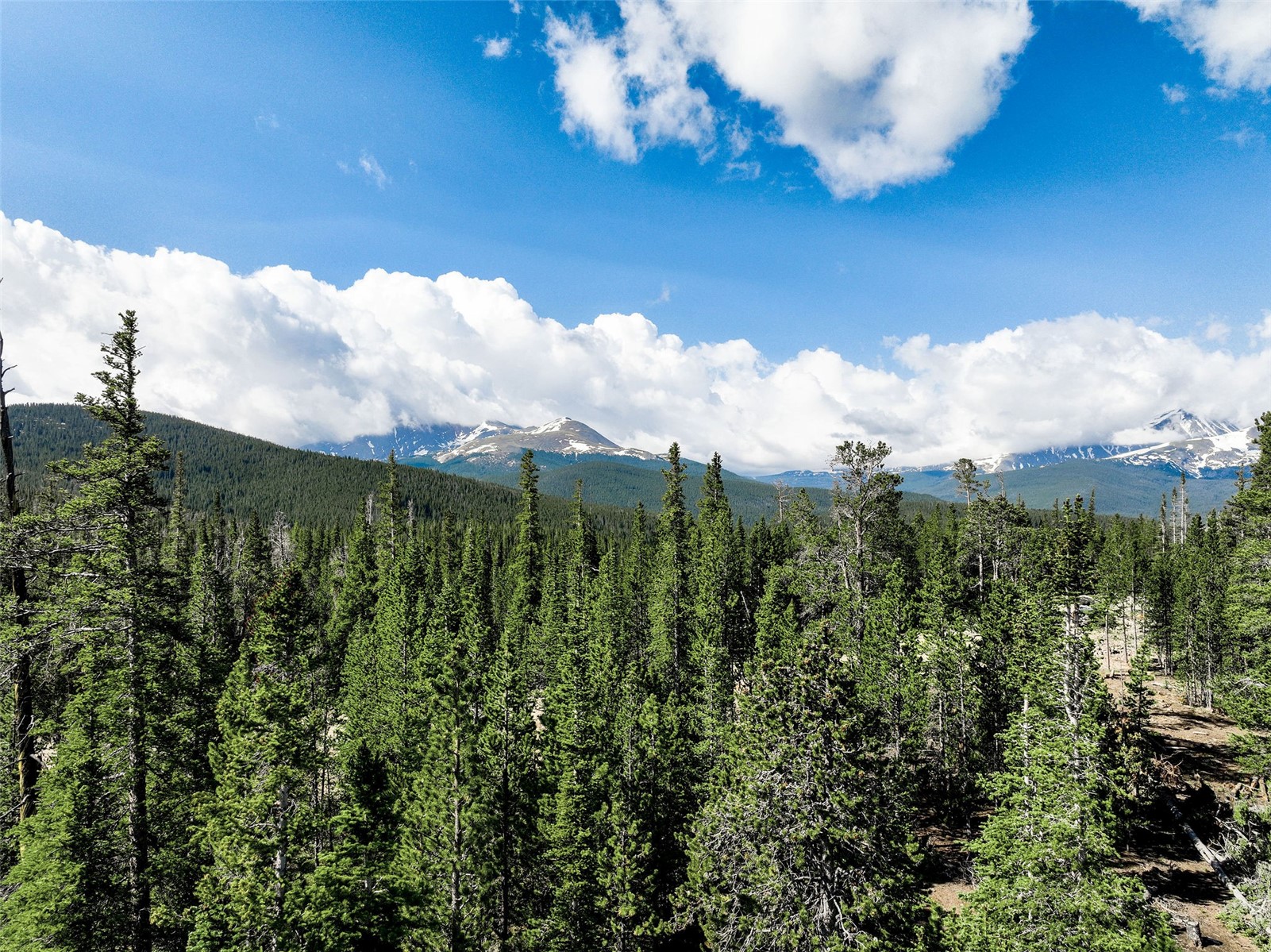 Homestead 21 Cumberland Drive Breckenridge CO 80424