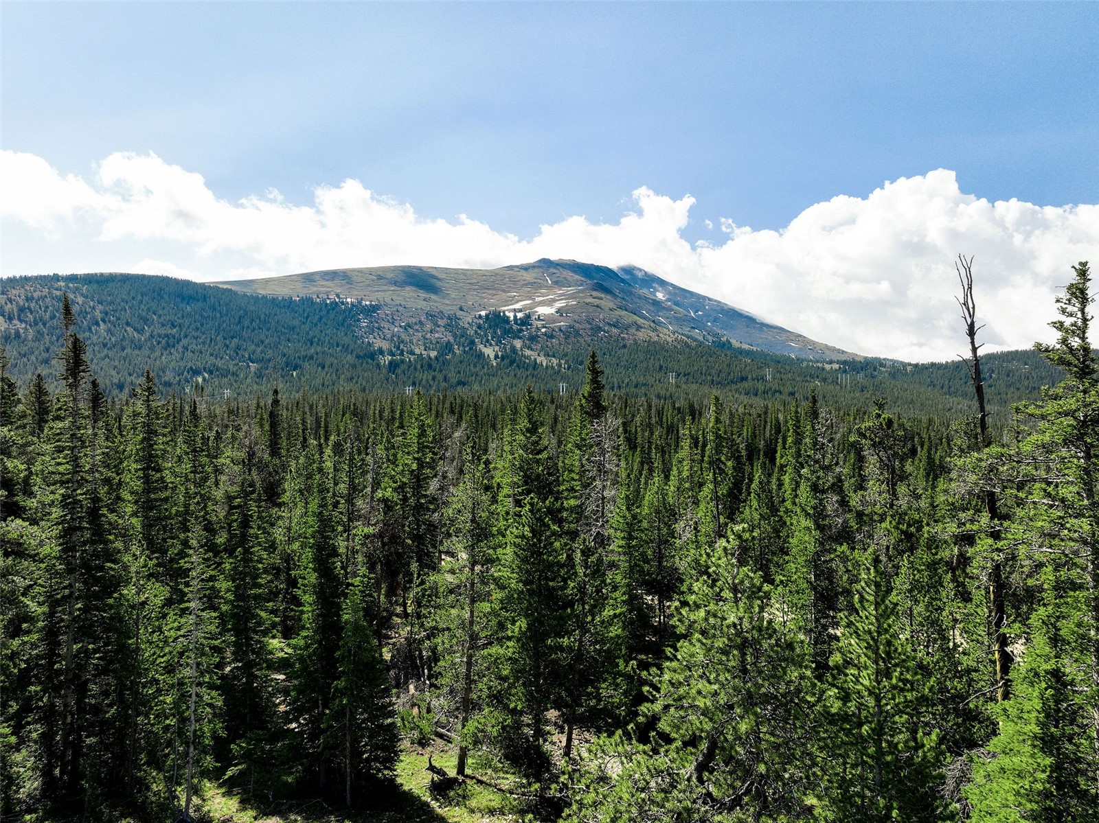 Homestead 21 Cumberland Drive Breckenridge CO 80424