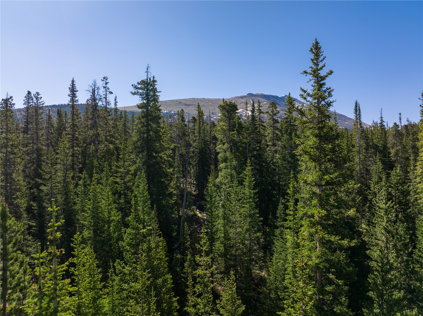 Homestead 21 Cumberland Drive Breckenridge CO 80424