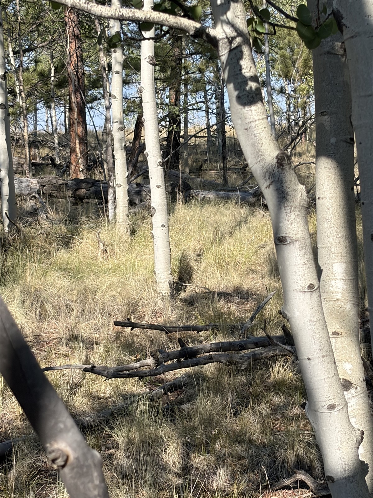 3031 Mcdowell Drive Como CO 80432
