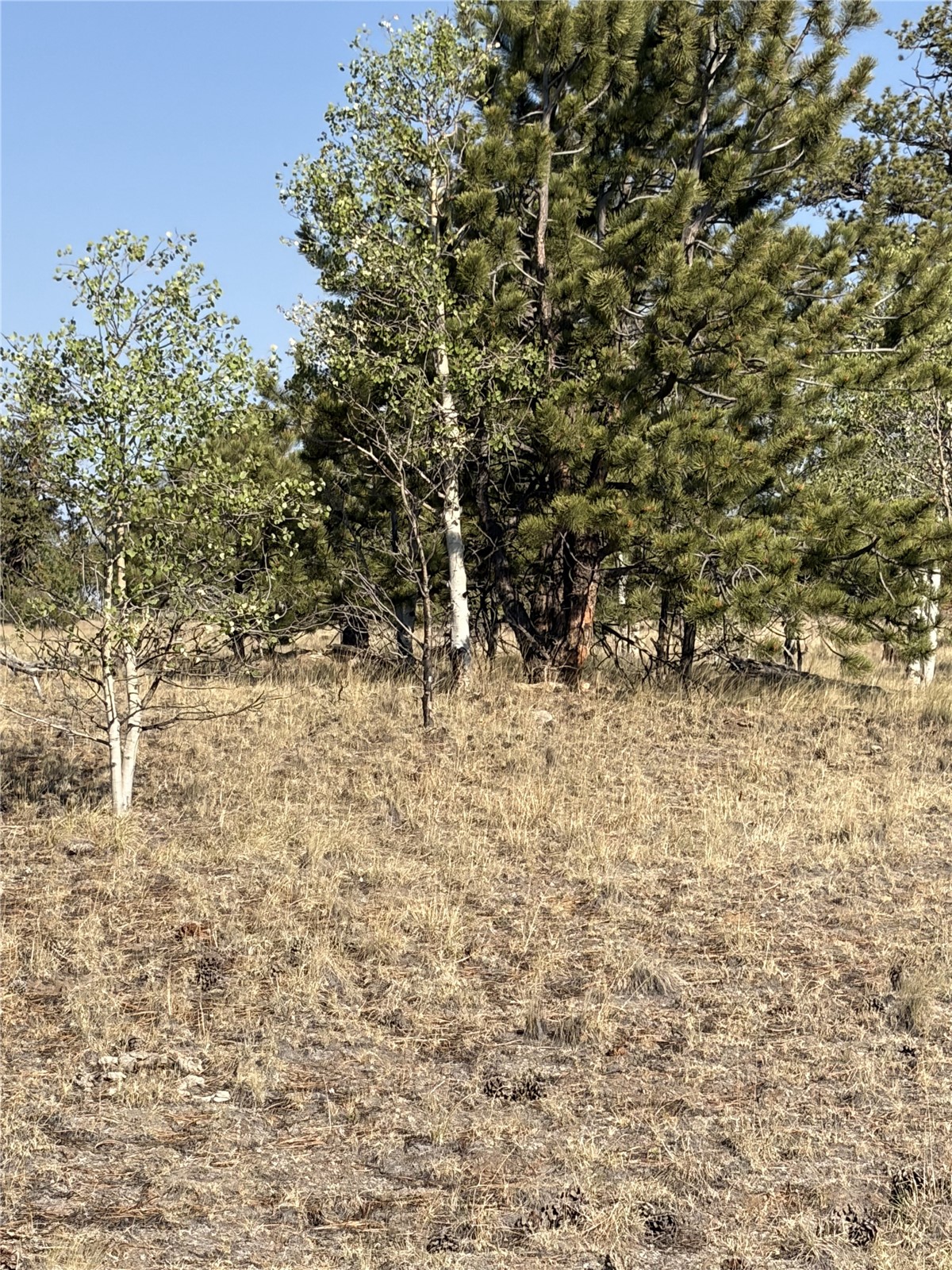3031 Mcdowell Drive Como CO 80432