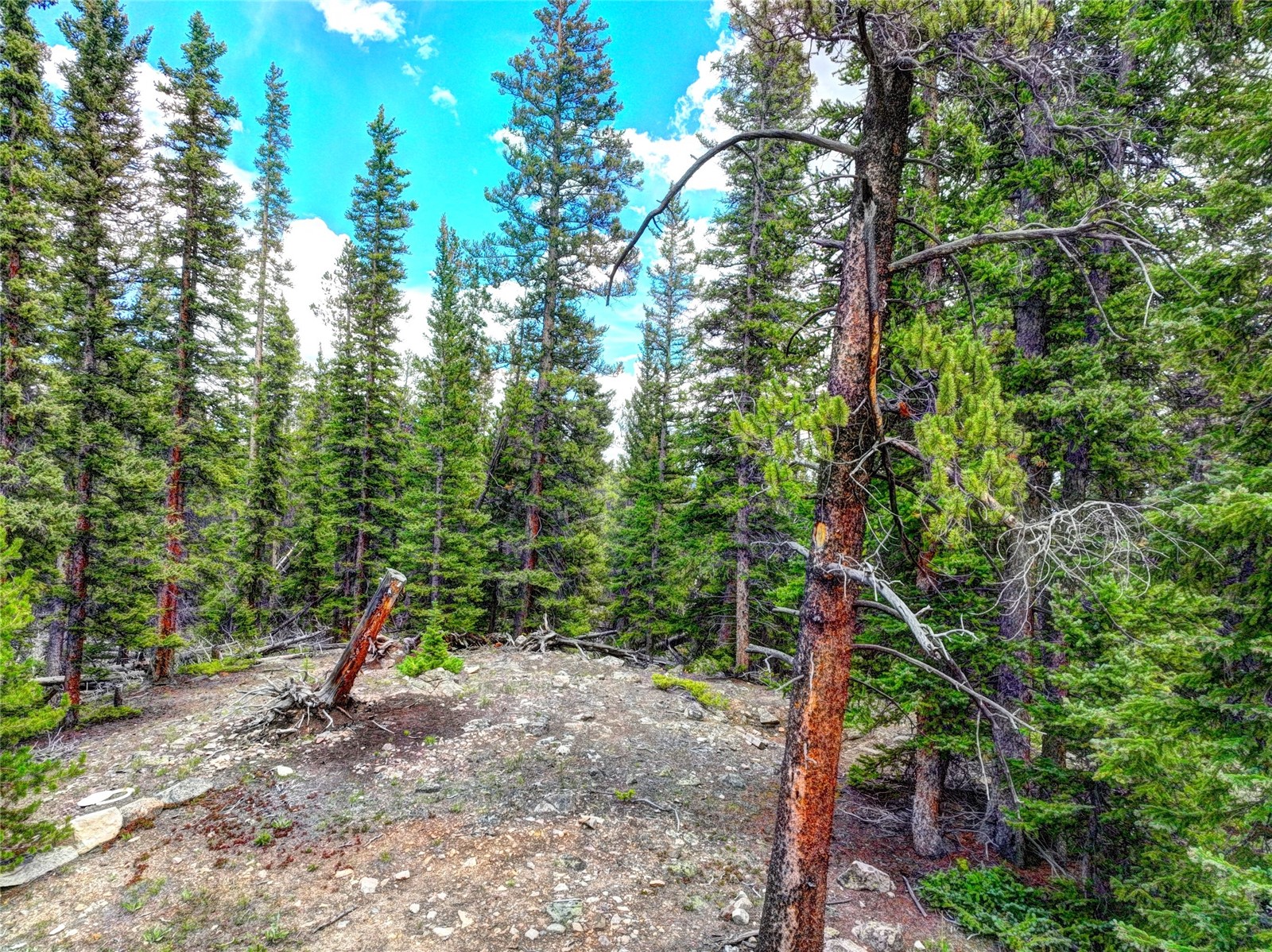 0 Dry Gulch Road Fairplay CO 80440