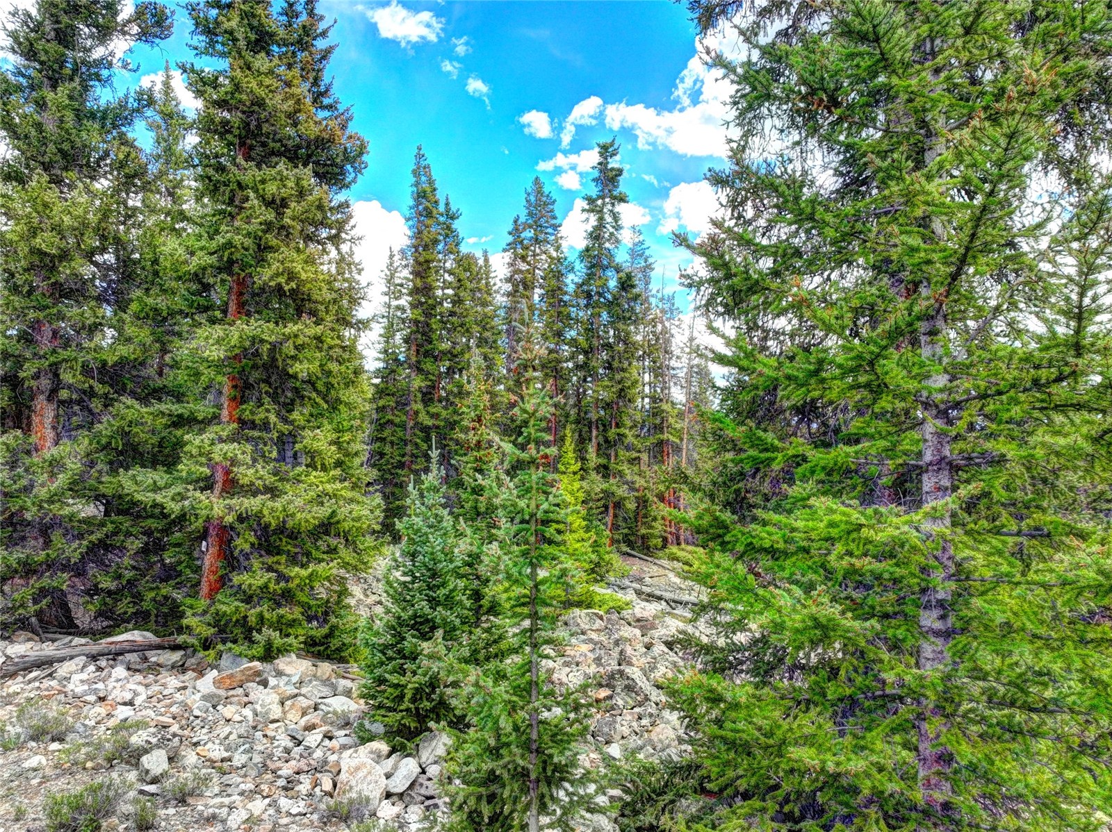 0 Dry Gulch Road Fairplay CO 80440