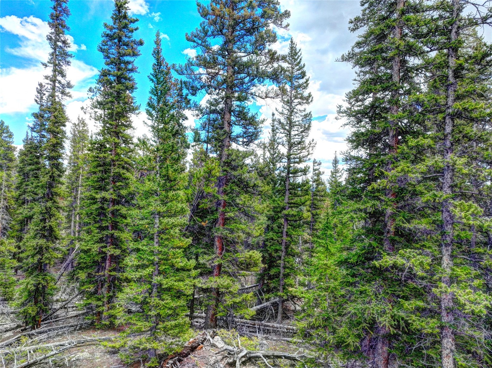 0 Dry Gulch Road Fairplay CO 80440