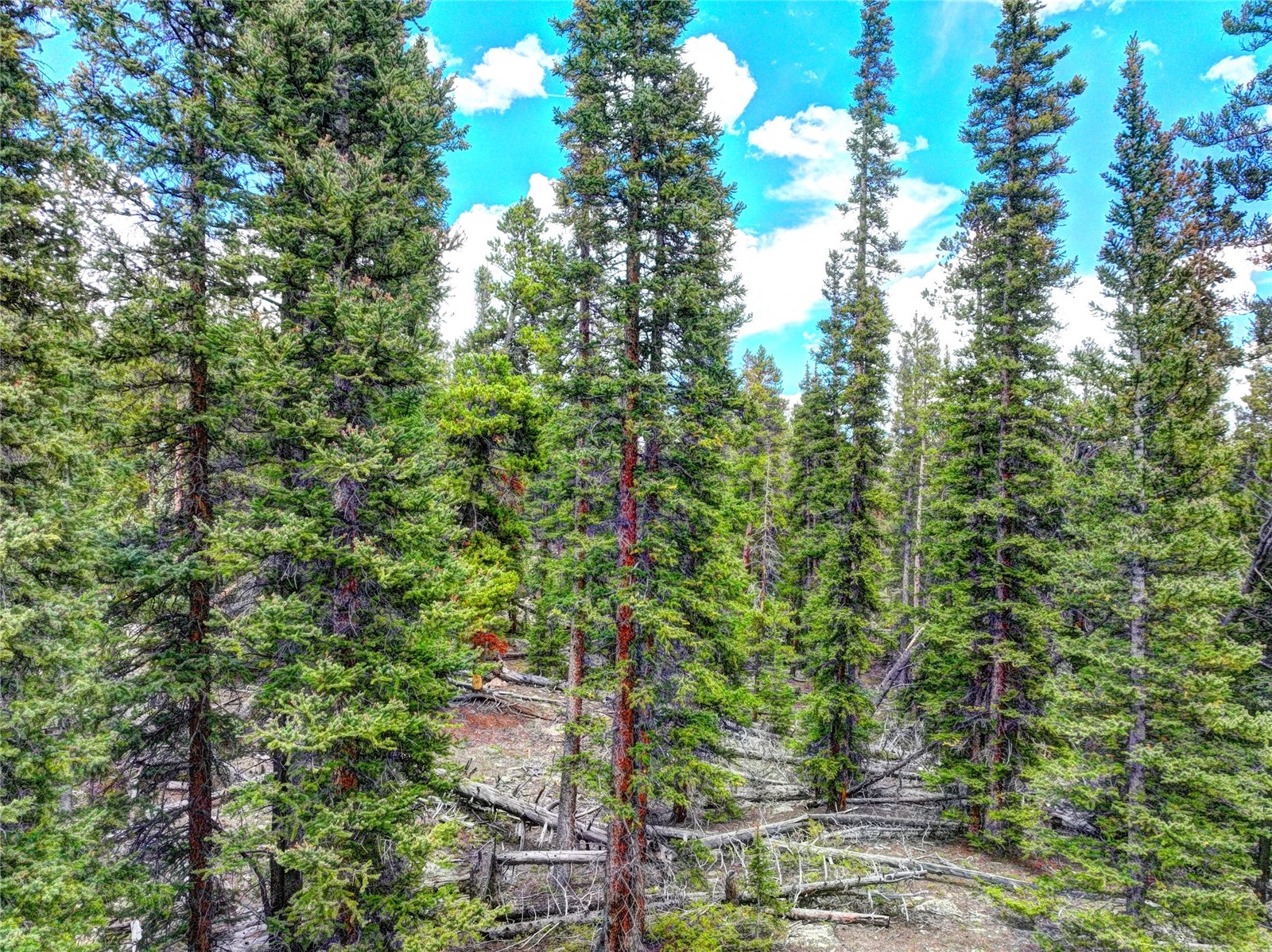0 Dry Gulch Road Fairplay CO 80440