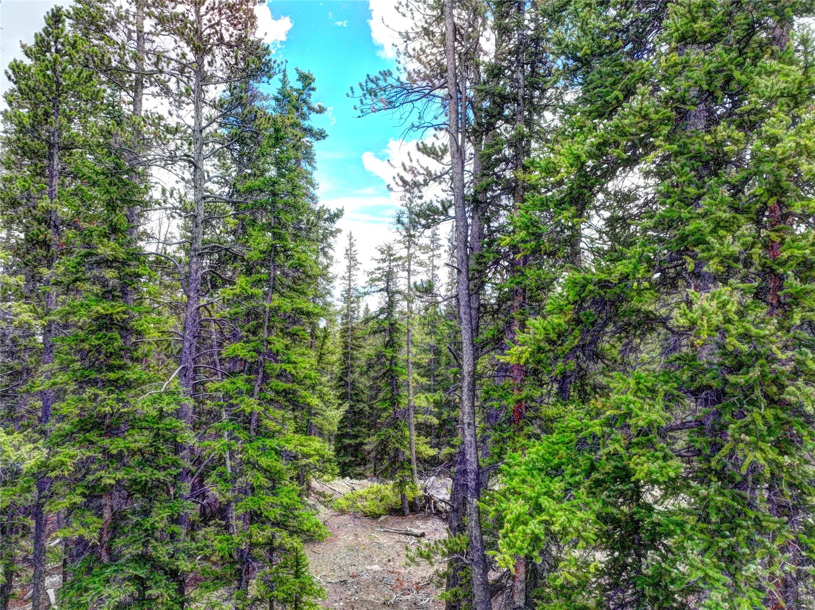 0 Dry Gulch Road Fairplay CO 80440