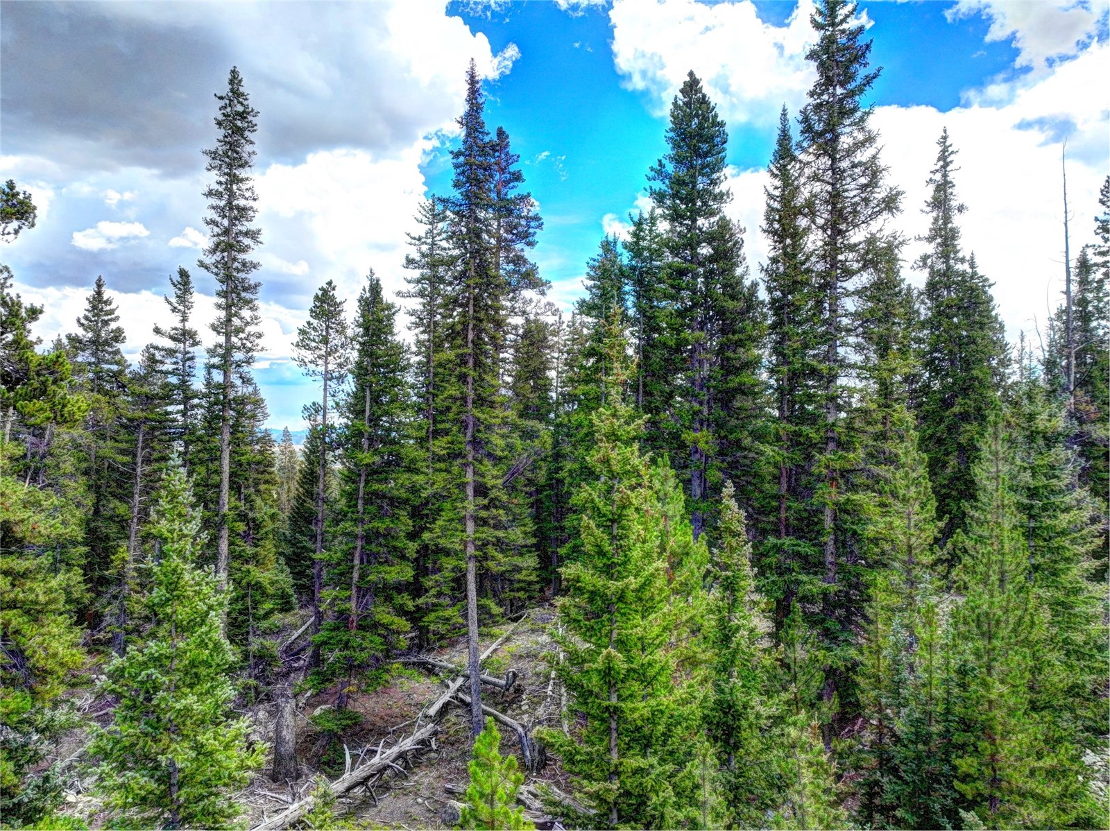 0 Dry Gulch Road Fairplay CO 80440