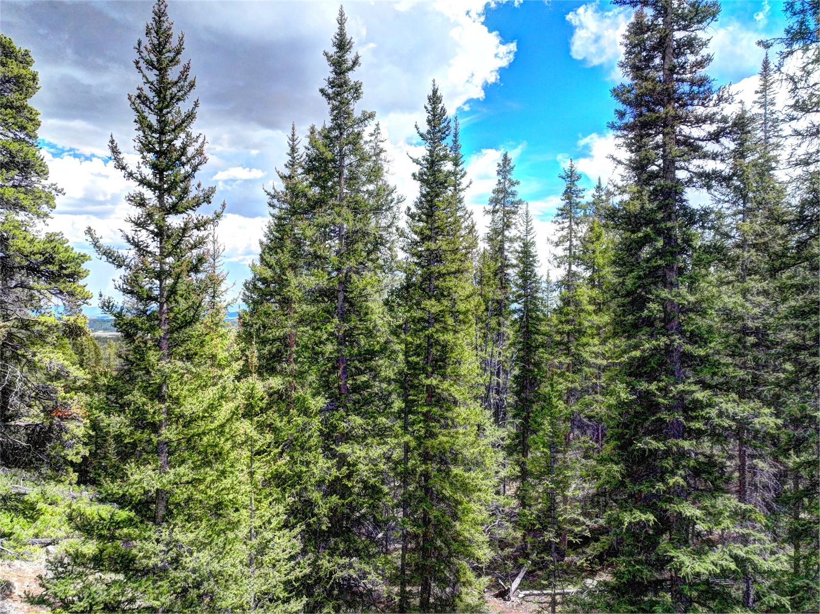 0 Dry Gulch Road Fairplay CO 80440