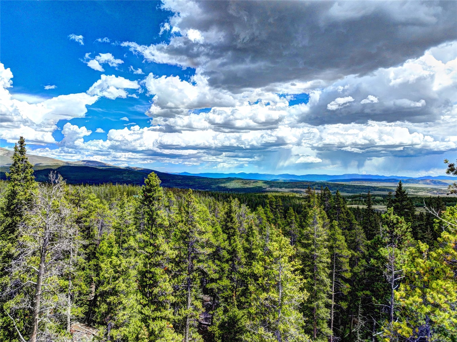 0 Dry Gulch Road Fairplay CO 80440
