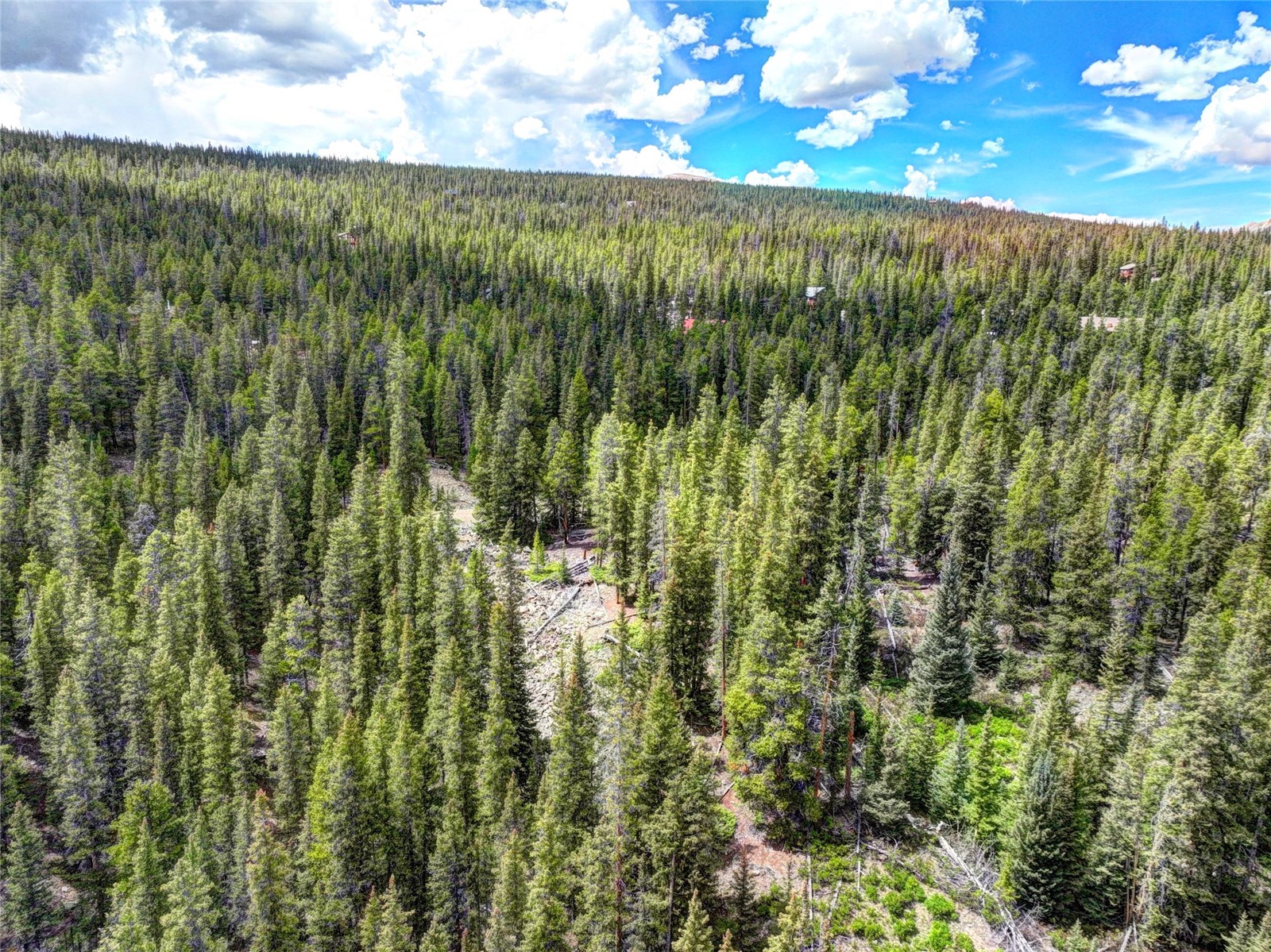 0 Dry Gulch Road Fairplay CO 80440