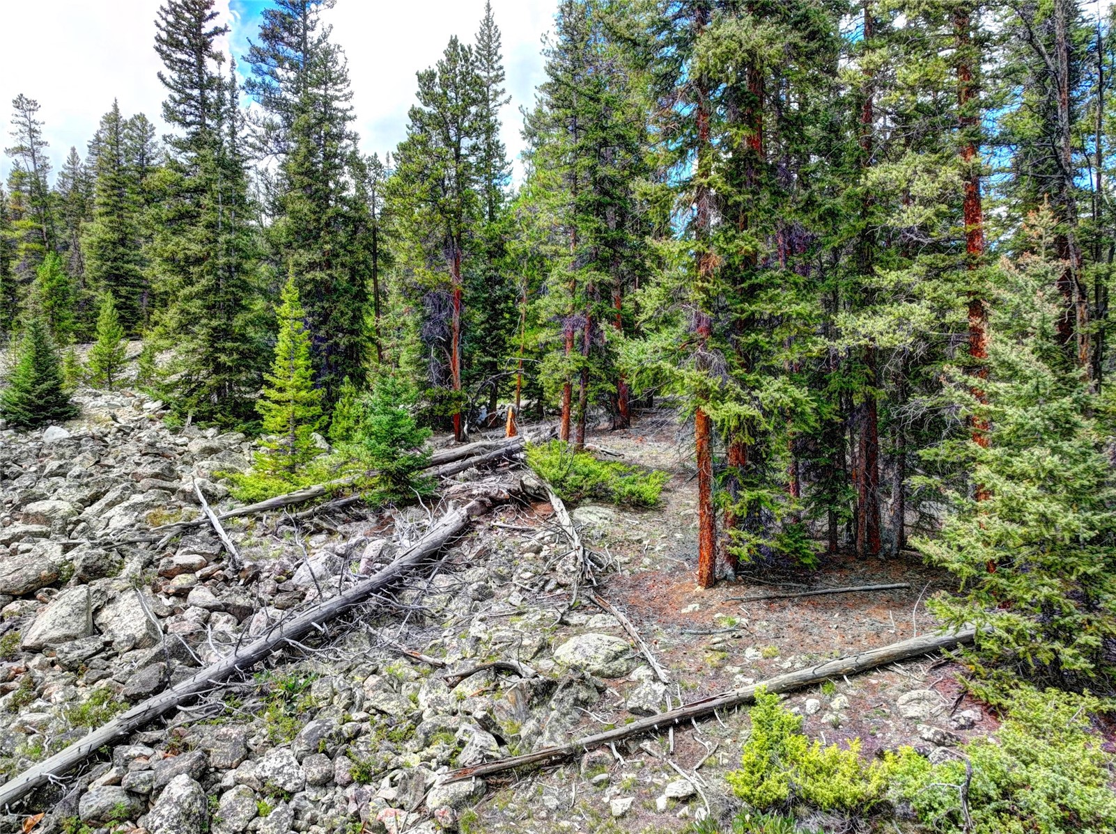 0 Dry Gulch Road Fairplay CO 80440