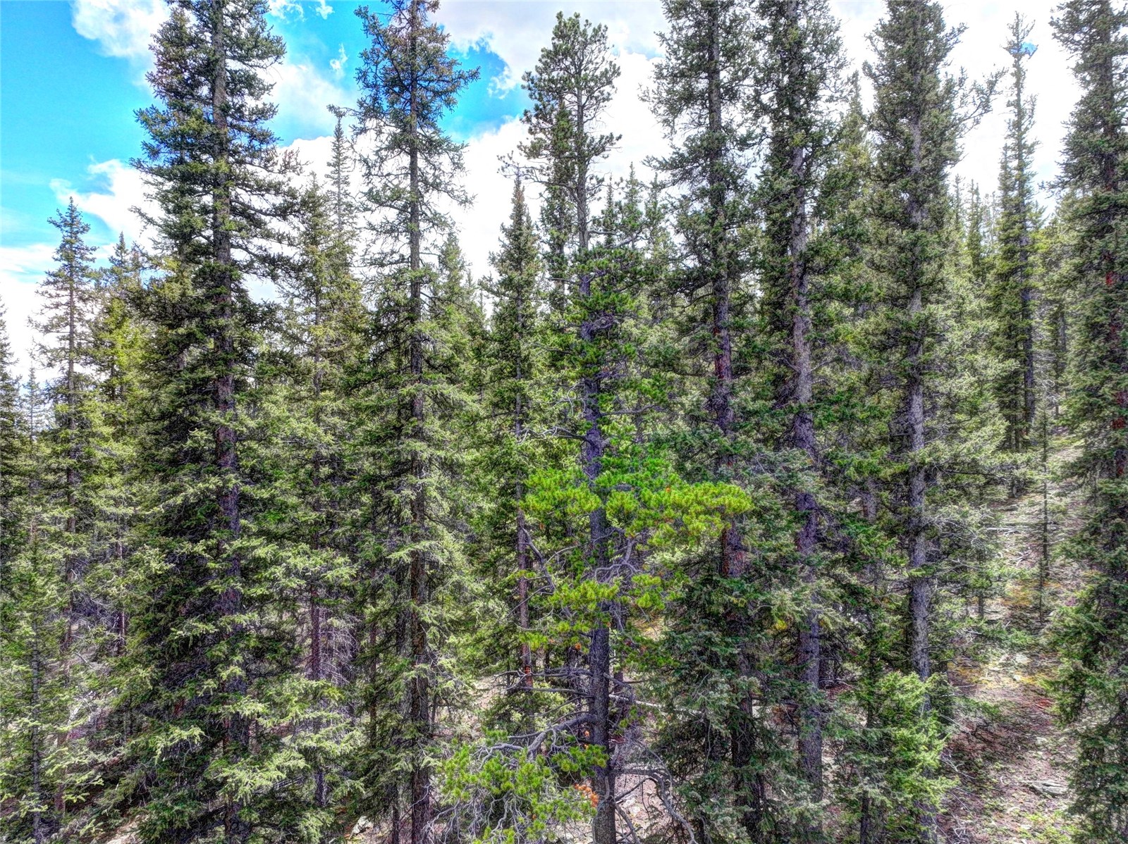 0 Dry Gulch Road Fairplay CO 80440