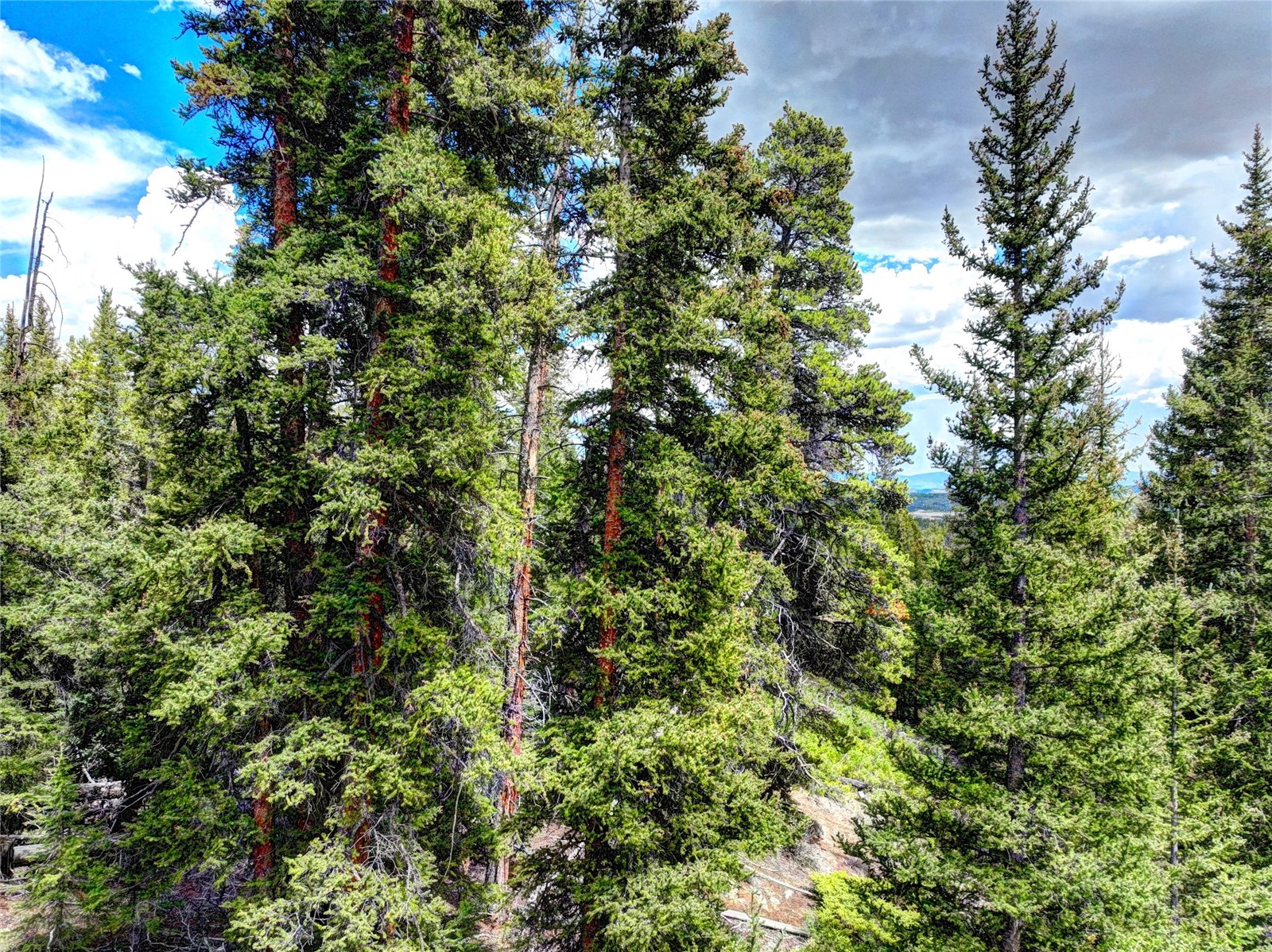 0 Dry Gulch Road Fairplay CO 80440