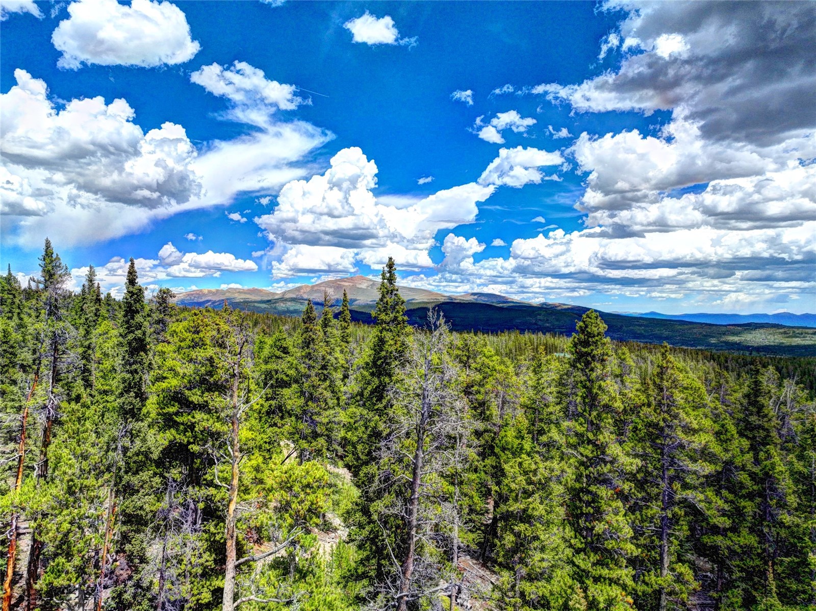 0 Dry Gulch Road Fairplay CO 80440