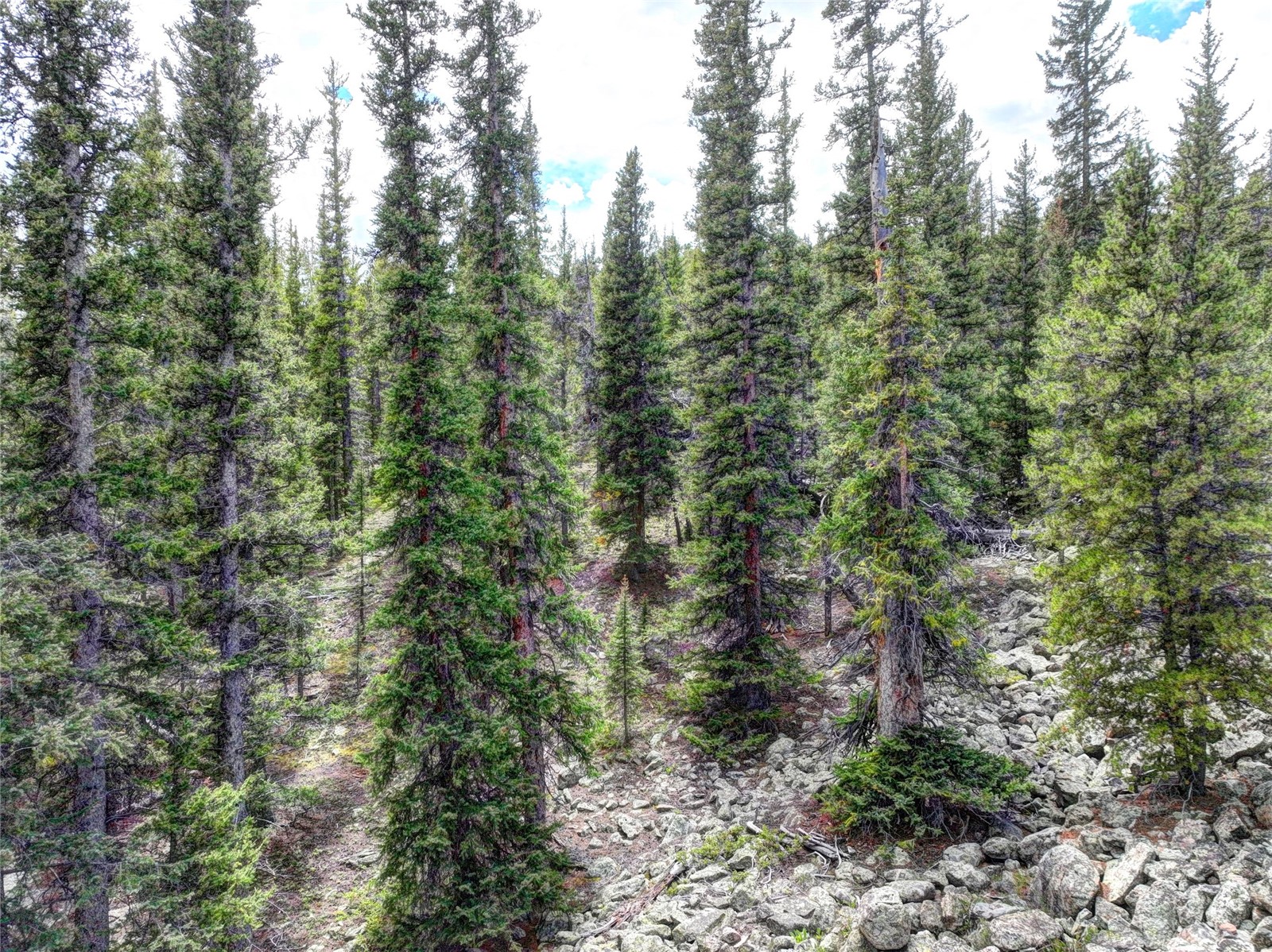 0 Dry Gulch Road Fairplay CO 80440
