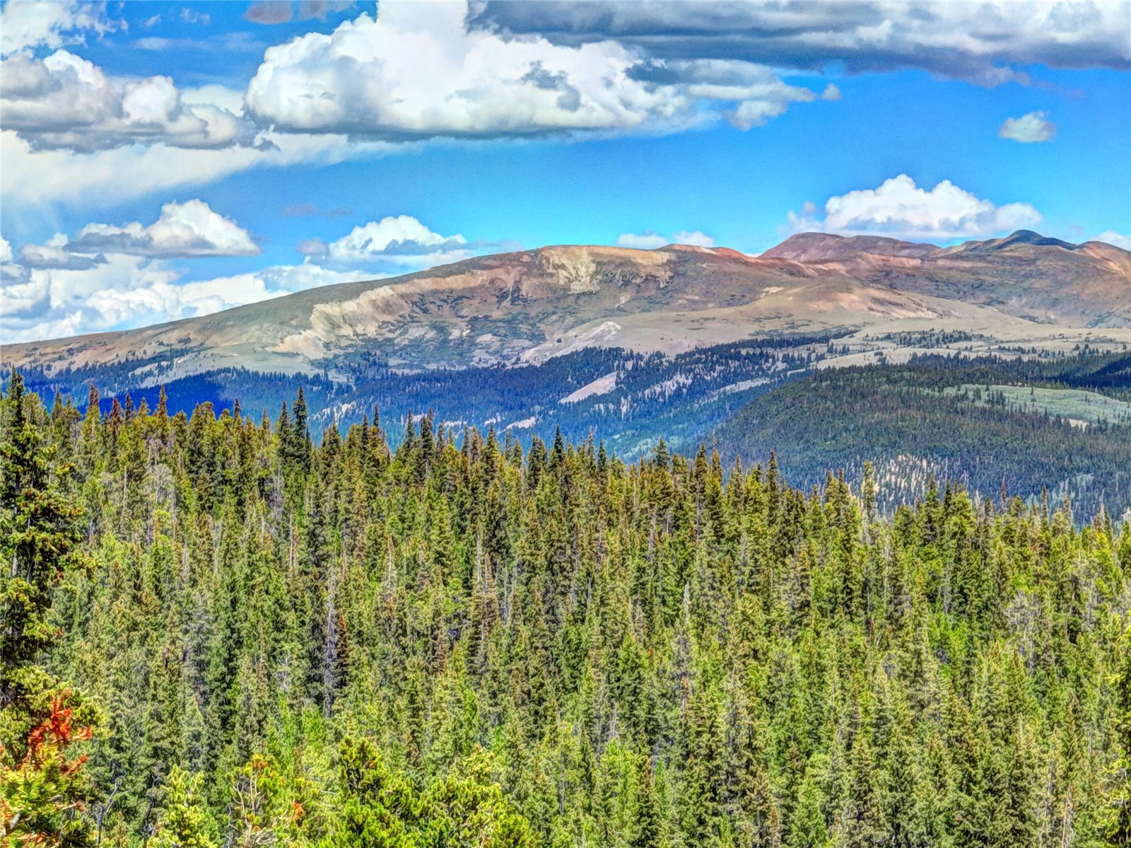 0 Dry Gulch Road Fairplay CO 80440