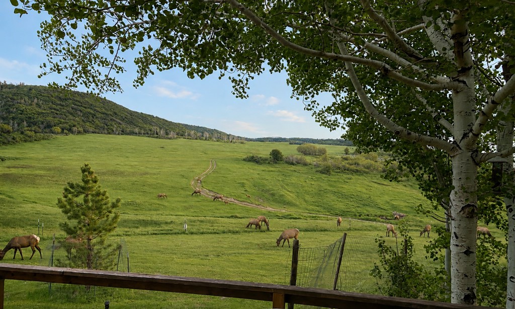 2251 Cr-179 Craig CO 81638