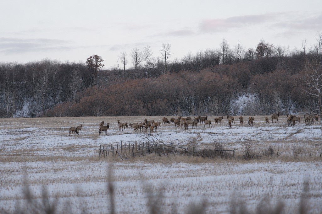 2251 Cr-179 Craig CO 81638
