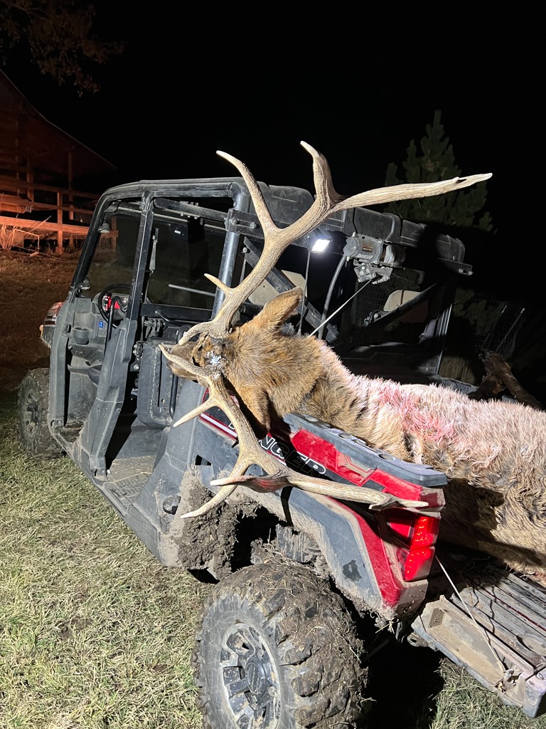 2251 Cr-179 Craig CO 81638