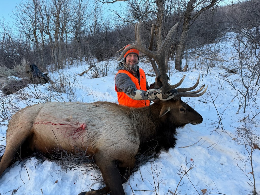 2251 Cr-179 Craig CO 81638