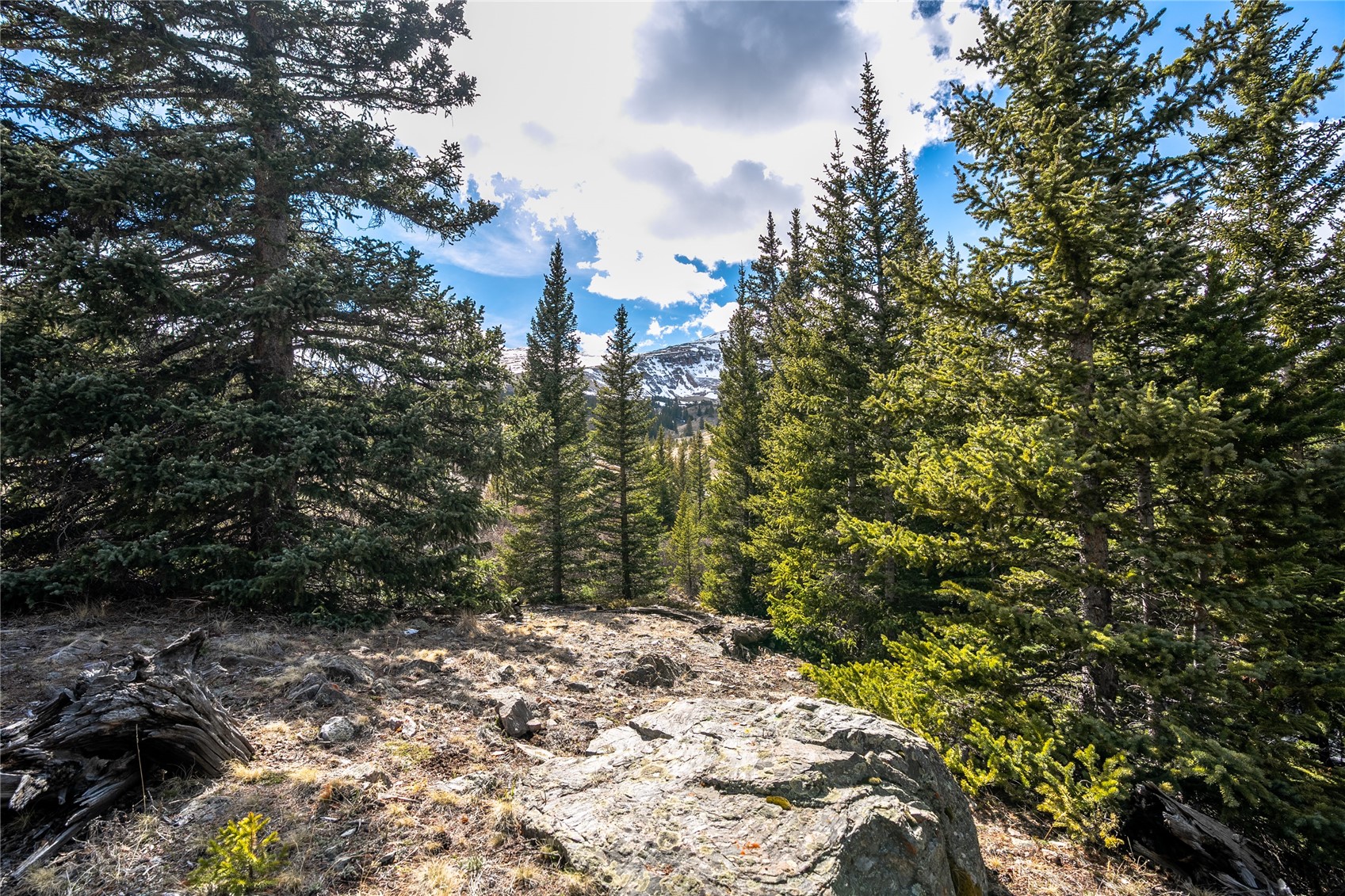 199 Zinc Road Alma CO 80440