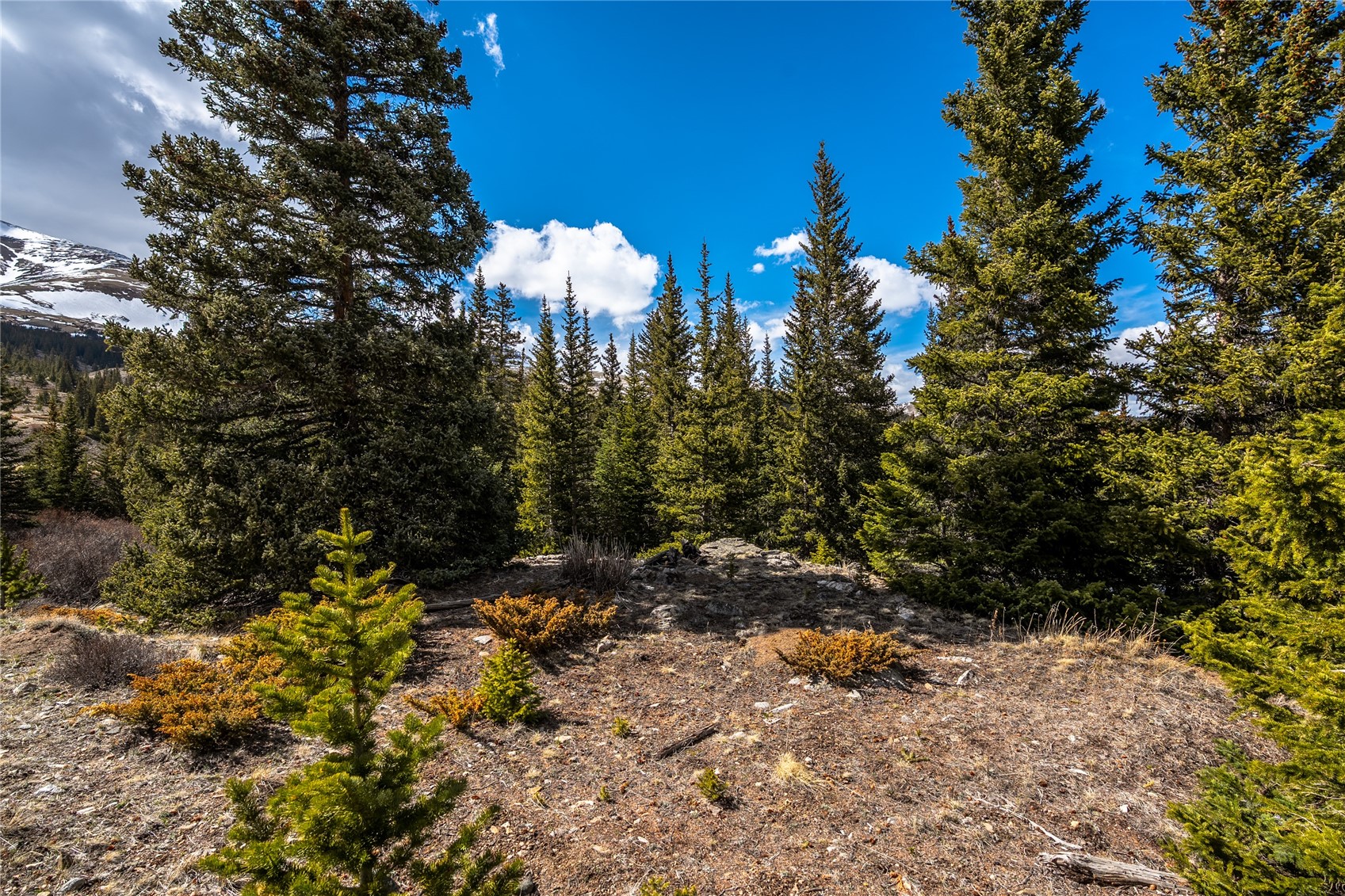 199 Zinc Road Alma CO 80440