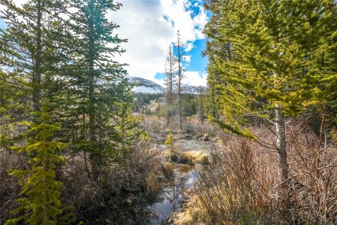 199 Zinc Road Alma CO 80440