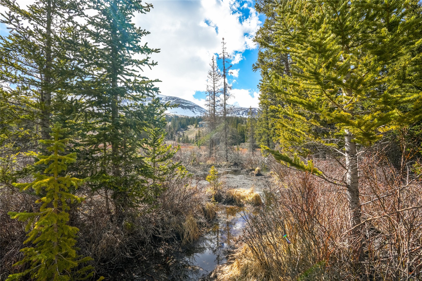 199 Zinc Road Alma CO 80440